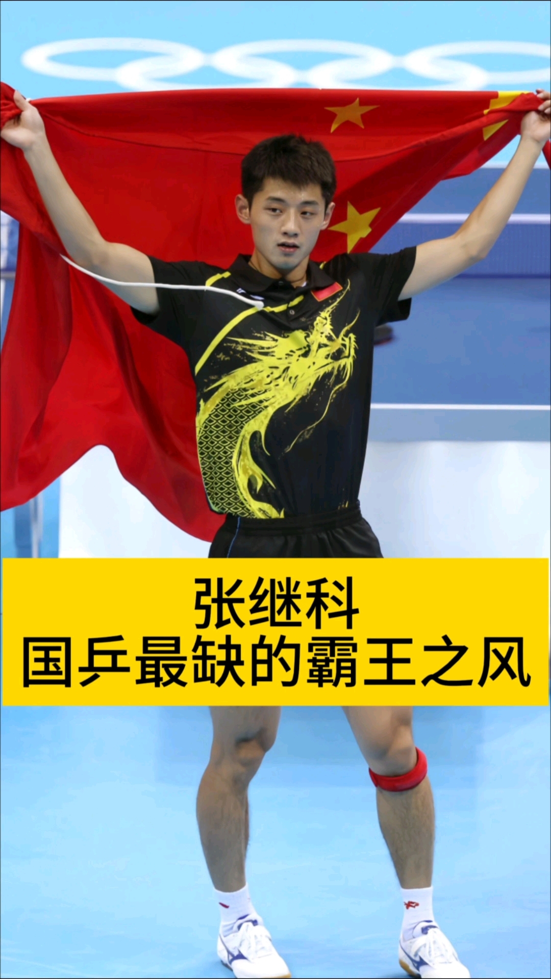 瑞典乒乓球队力克奥地利乒乓球队,张继科制霸全场的简单介绍 瑞典乒乓球队力克奥地利乒乓球队,张继科制霸全场的简单介绍