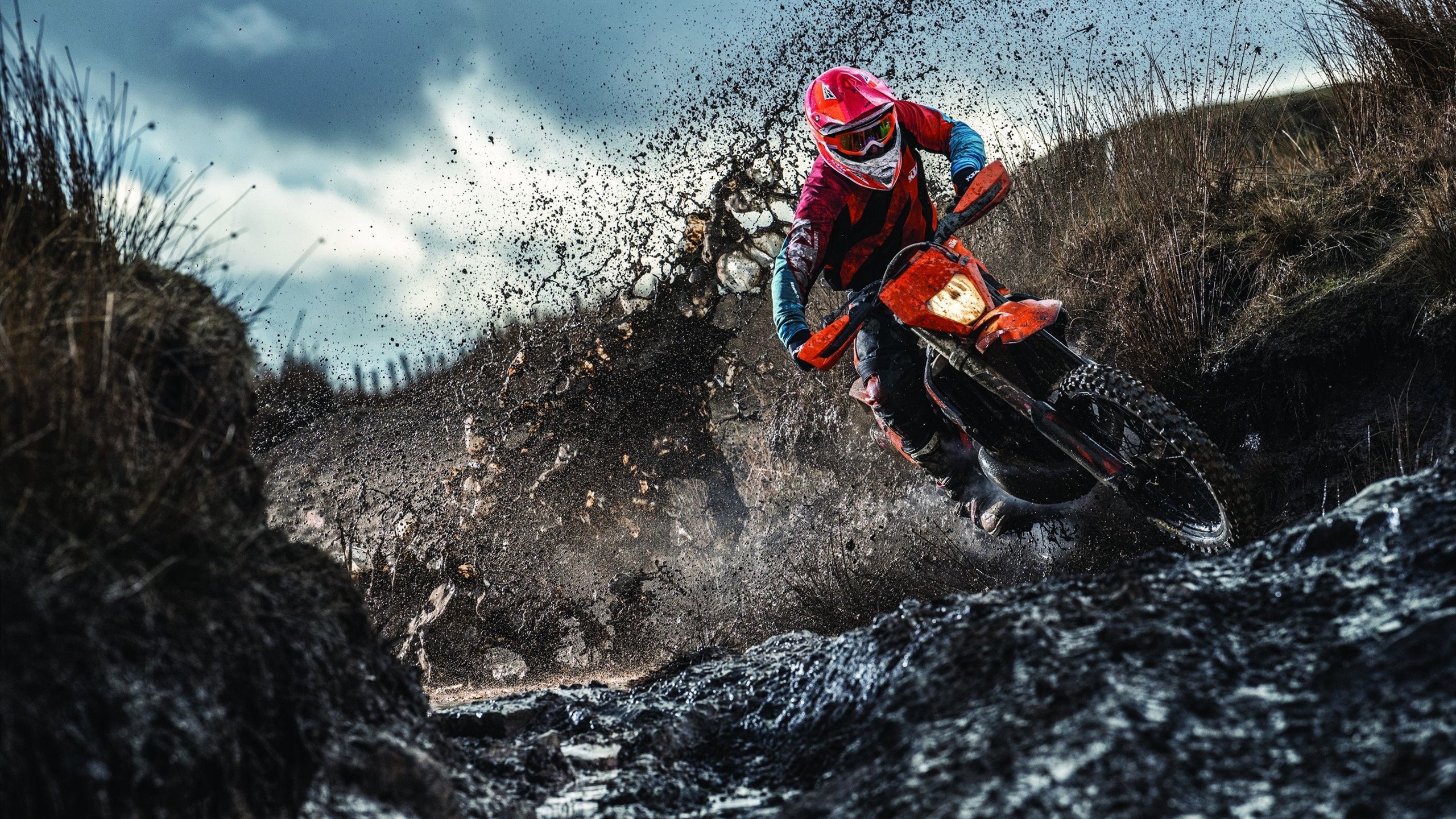 开云体育官网-F1新赛季揭幕战焦点战，赛场如赛道，公牛火力全开压制吉林队